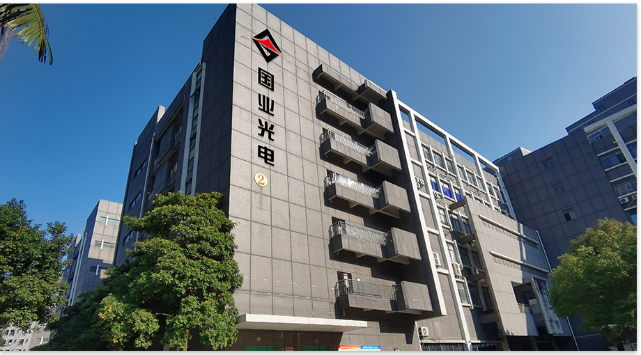 Shenzhen Guoye Optoelectronics 2024 årets udgang