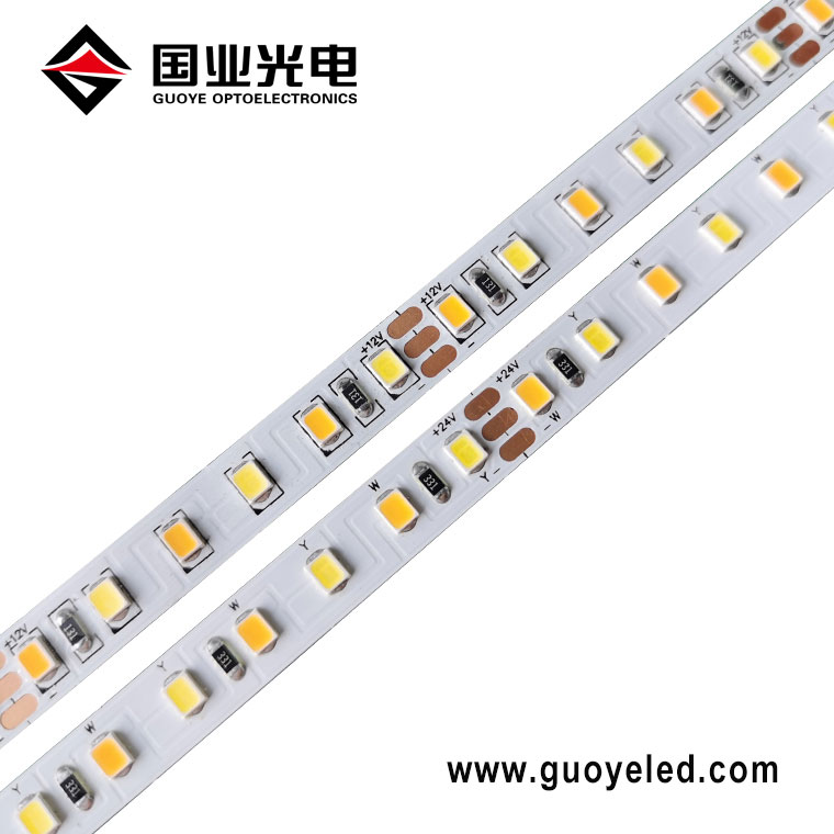 Dobbelt farve LED Strip lys